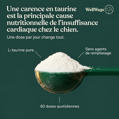 Taurine WellWags